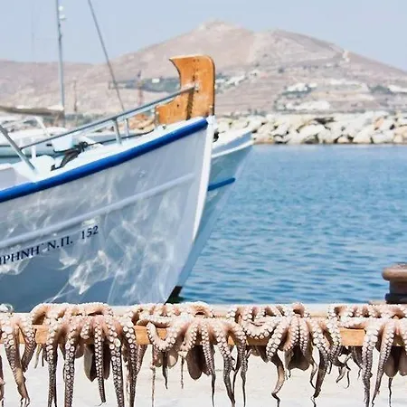 Apartamento Noctua 006 Old Town 2 *